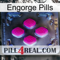 Engorge Pills 02